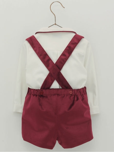 conjunto botón foque niño