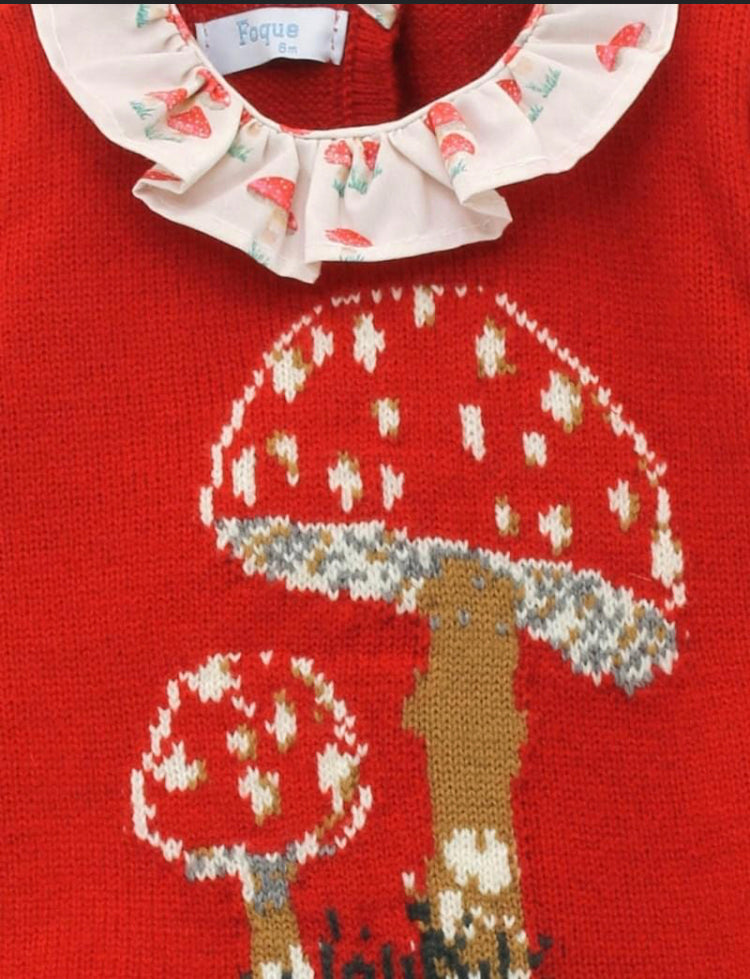 Conjunto Rojo Hongos Foque