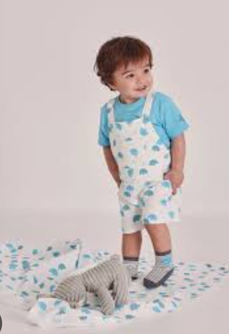 CONJUNTO ELEFANTES DE BEBÉ NIÑO
